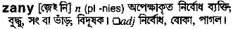 zany
meaning in bengali